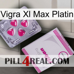 Vigra Xl Max Platinum 32